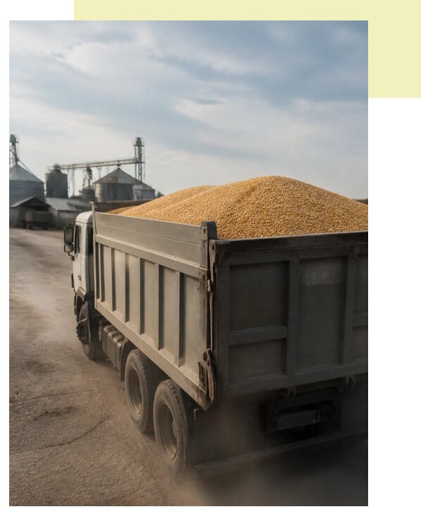 Перевозка сельхозпродукции навалом в Евпаторию по цене от 3160 р. | Агросервис-Евп
